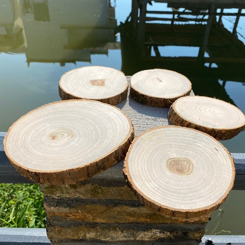 香樟木实木垫隔热樟木墙画原木防虫防蛀茶杯垫樟木圆片道具摄影,居家日用,防霉防蛀,淘宝优惠券,粉丝福利购,淘宝优惠卷