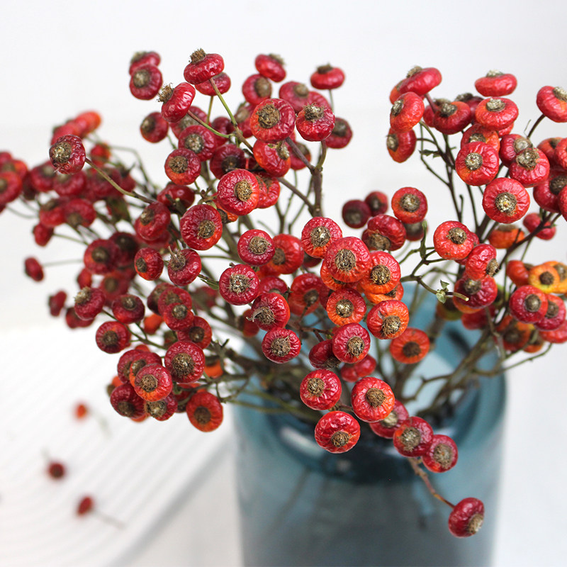 蔷薇果干花真果干枝红色家居软装摆设插画招财吉祥红果婚庆摆件,鲜花速递/花卉仿真/绿植园艺,干花,淘宝优惠券,粉丝福利购,淘宝优惠卷