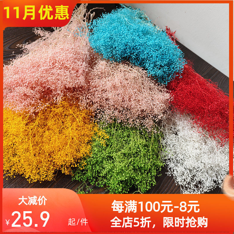 霞草干燥花百万星千万星天然风干染色小满天星家居摆设艺术点缀花,鲜花速递/花卉仿真/绿植园艺,永生花,淘宝优惠券,粉丝福利购,淘宝优惠卷