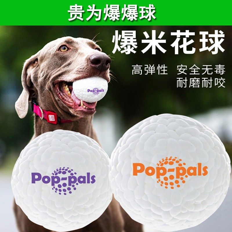 狗玩具爆爆球耐咬弹力球解闷橡胶摇摇乐漏食抓咬青娃宠物犬玩具,宠物/宠物食品及用品,橡胶球/球形玩具,淘宝优惠券,粉丝福利购,淘宝优惠卷