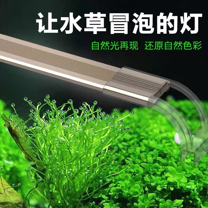 佳璐超白鱼缸照明灯水草灯LED全光谱防水水族箱支架灯草缸灯管,宠物/宠物食品及用品,照明器材,淘宝优惠券,粉丝福利购,淘宝优惠卷