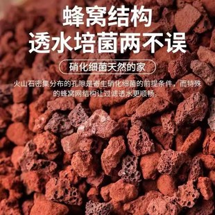 天然火山石颗粒水族鱼缸专用底砂定植水草过滤水族铺面滤材养鱼龟