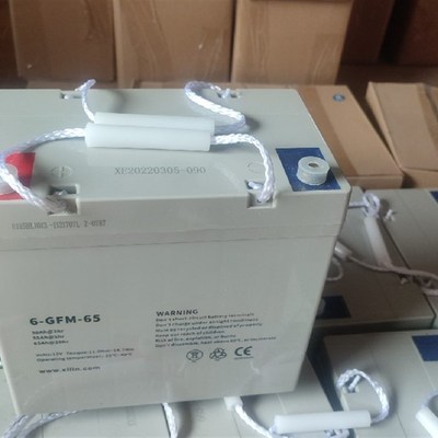 xilin西林堆高机搬运车电池12V65Ah