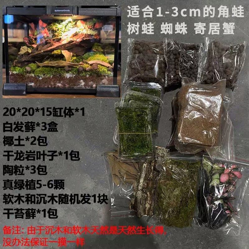 BG树栖树蛙睫角爬宠饲养箱玻璃生态雨林造景缸蛇蜘蛛寄居蟹饲养盒,宠物/宠物食品及用品,桌面缸,淘宝优惠券,粉丝福利购,淘宝优惠卷
