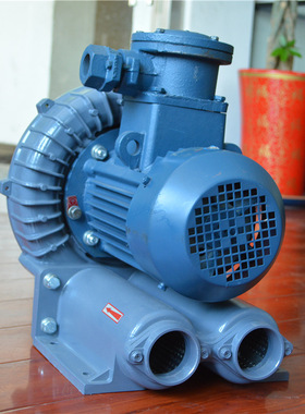 FB-10 7.5kw 耐高温防腐漩涡气泵防爆通风机 酸碱气体吸附防爆通