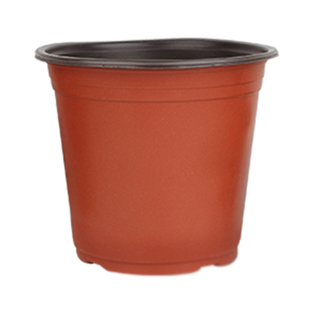 双色盆育苗盆加厚一次性简易花盆塑料大号多肉扦插盆营养杯育苗杯
