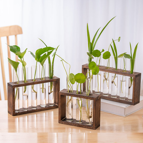 水培花瓶试管水养绿植插花植物容器简约木架摆件台面装饰玻璃花器
