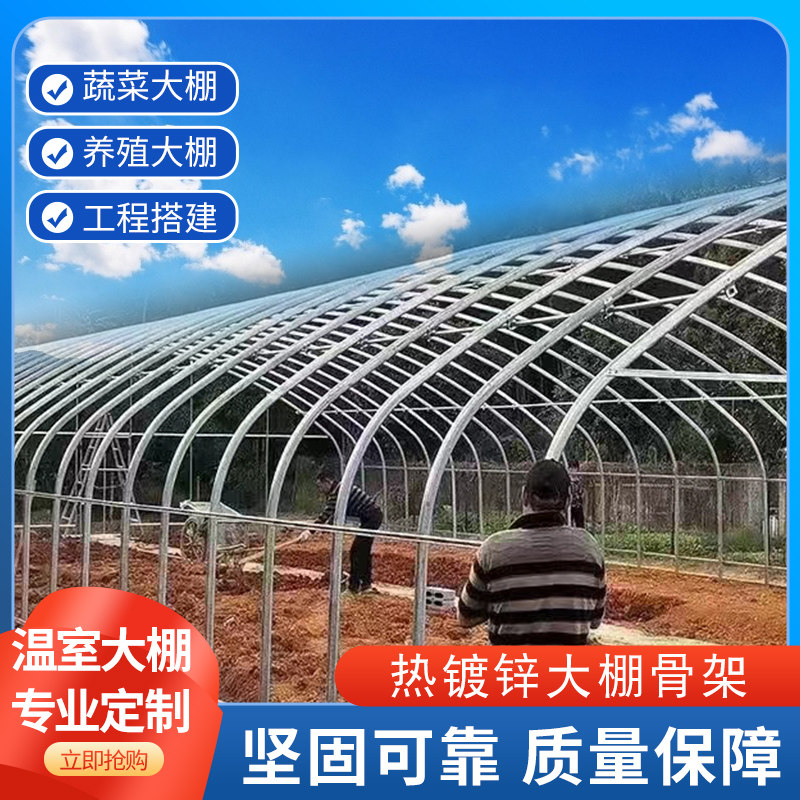 大棚骨架钢管养殖温室种植暖棚钢支架子组装全套蔬菜保温猪牛鸡舍