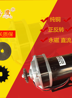 电动车永磁电机 改装三轮车有刷电机24V36V48V500W800W三轮车配件