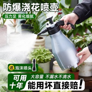 喷壶浇花家用气压式超细雾清洁洗车压力加压洒水壶园艺专用大容量