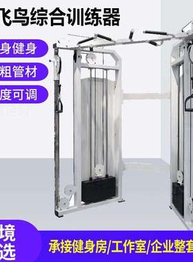 斯博锐 P817商用健身小飞鸟多功能双臂训练器龙门架综合训练