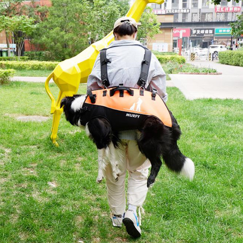 宠物中大型犬背包老年犬上下楼空降包双肩背带户外助行担架残疾用