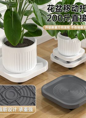 可移动花盆托盘正方形带轮底座滚轮万向轮托底塑料花盘垫底垫高