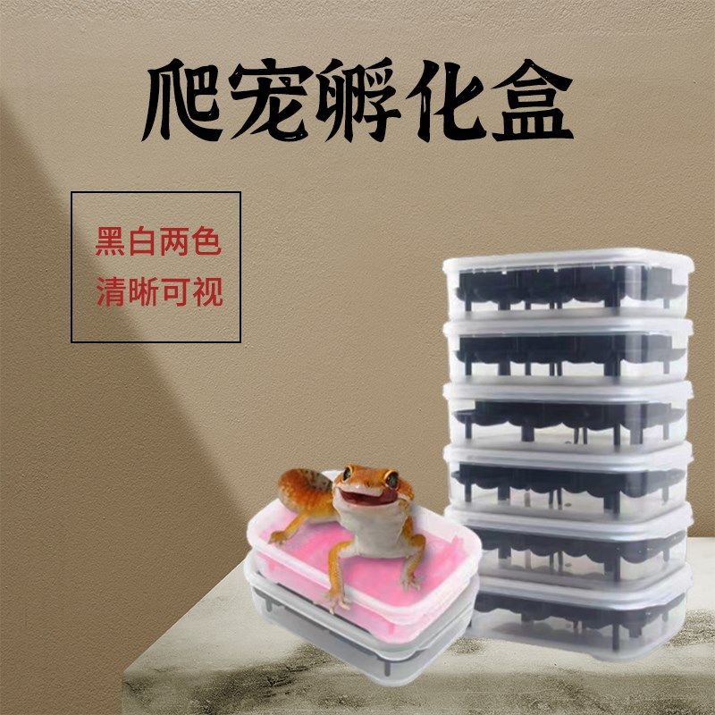 BG爬宠孵化盒蛋托盒14蛋位爬虫豹纹守宫鬃狮蜥蜴宠物孵蛋器孵化箱,宠物/宠物食品及用品,爬宠清洁及日用品,淘宝优惠券,粉丝福利购,淘宝优惠卷