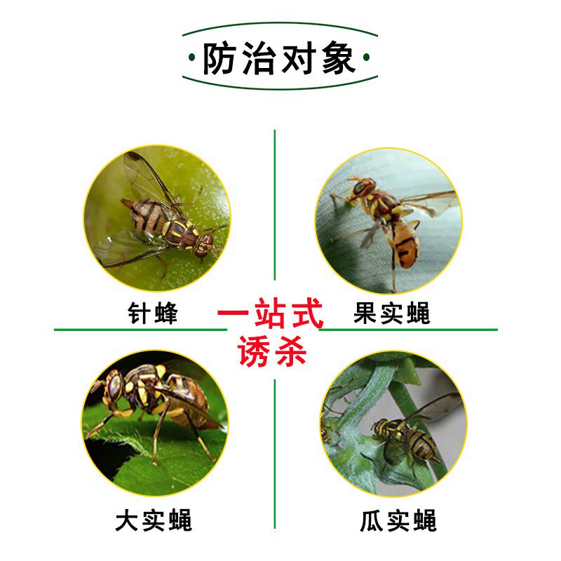 瓜果实蝇针蜂粘胶板防果蝇针蜂贴粘虫板柑橘大实蝇诱虫板诱捕器