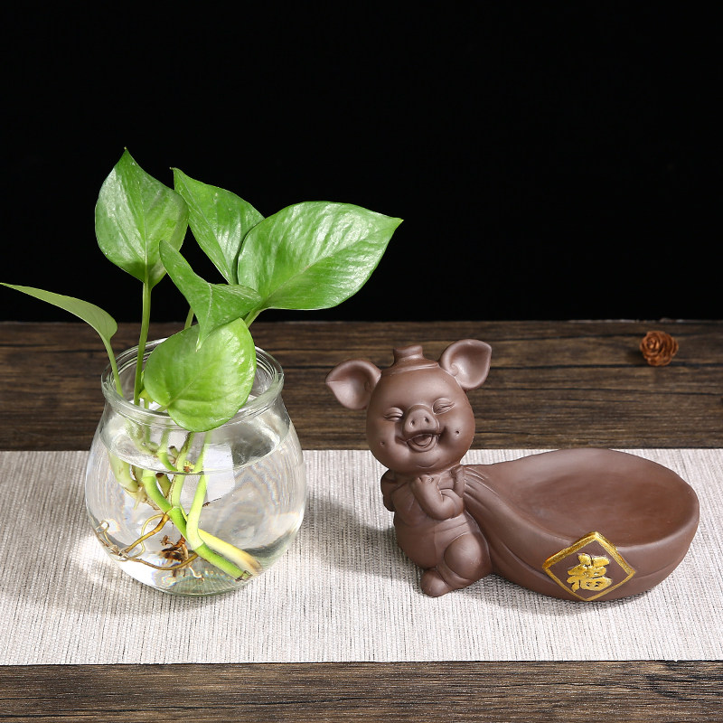 创意绿萝水培植物透明玻璃花瓶家用客厅装饰摆件水养插花陶瓷器皿,鲜花速递/花卉仿真/绿植园艺,花瓶,淘宝优惠券,粉丝福利购,淘宝优惠卷