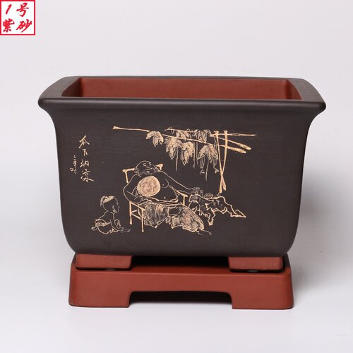 君子兰花盆陶瓷大号中国风简约室内客厅特大号发财树紫砂花盆景盆