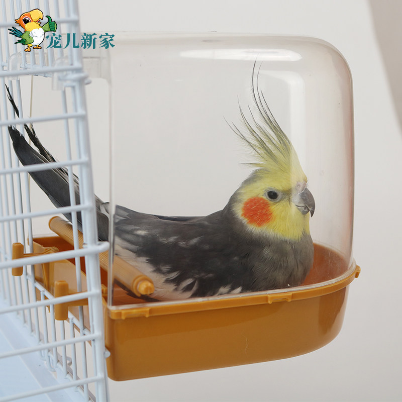 鹦鹉洗澡盆 鸟沐浴盆 虎皮牡丹玄凤中型鸟类用品鸟笼配件洗澡盆,宠物/宠物食品及用品,鸟用洗澡盒/器,淘宝优惠券,粉丝福利购,淘宝优惠卷