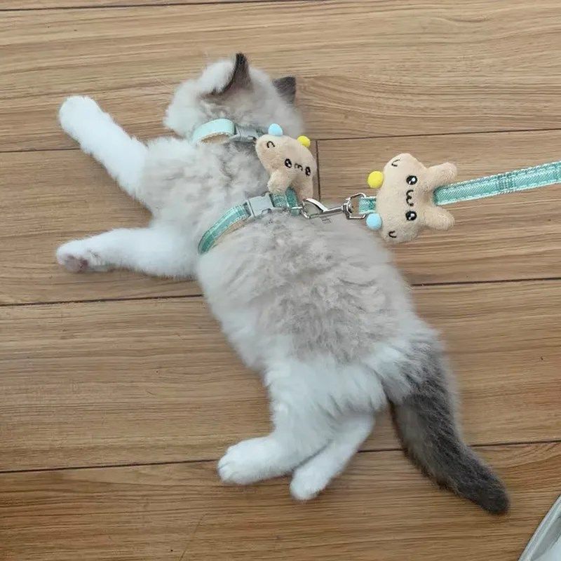 猫咪牵引绳防挣脱宠物兔子外出专用小奶猫布偶遛猫遛狗链子猫绳子,宠物/宠物食品及用品,猫牵引绳,淘宝优惠券,粉丝福利购,淘宝优惠卷