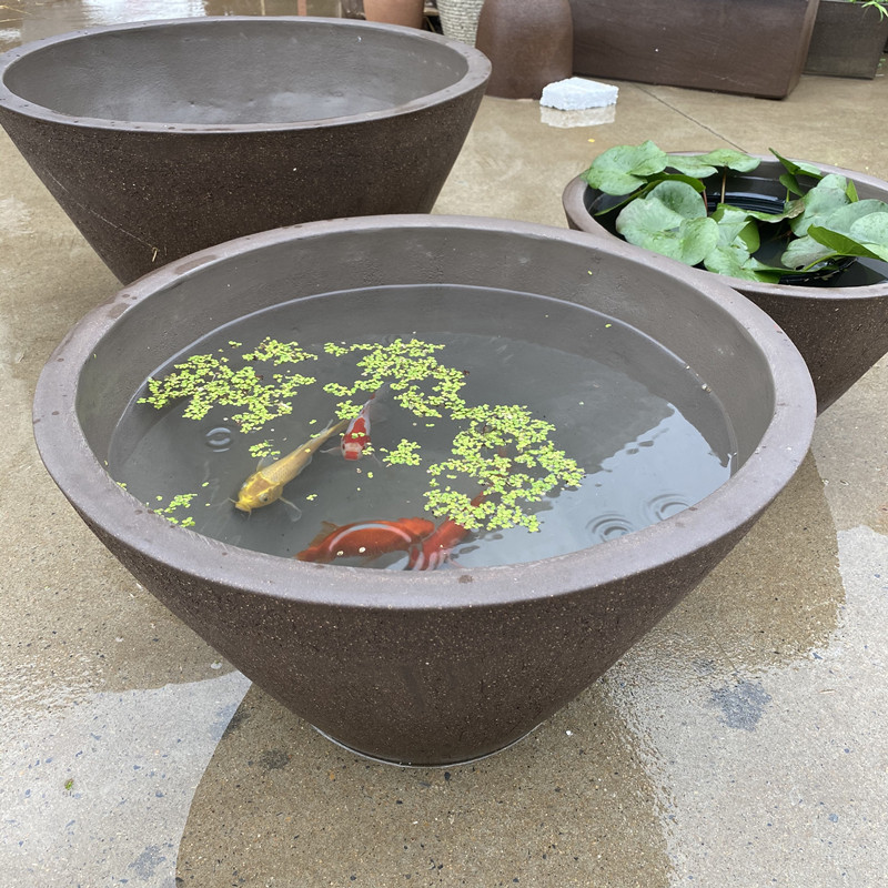 包邮庭院大口径粗陶陶土无孔荷花盆长方形睡莲水缸鱼缸古法养鱼缸