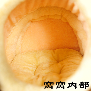 小型犬泰迪狗窝可拆洗蒙古包猫屋猫窝狗狗窝大号四季保暖房子加厚