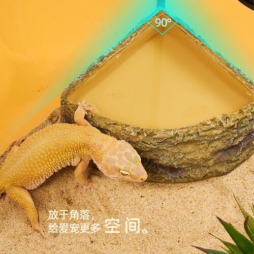 瑞皮Reptizoo玩酷爬宠喂食盆防逃逸大号水盆守宫角蛙蛇饲养箱造景