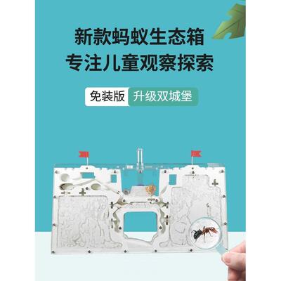 蚂蚁生态箱城堡超大型送蚁后学生观察盒繁殖版的蚁巢窝工坊宠物