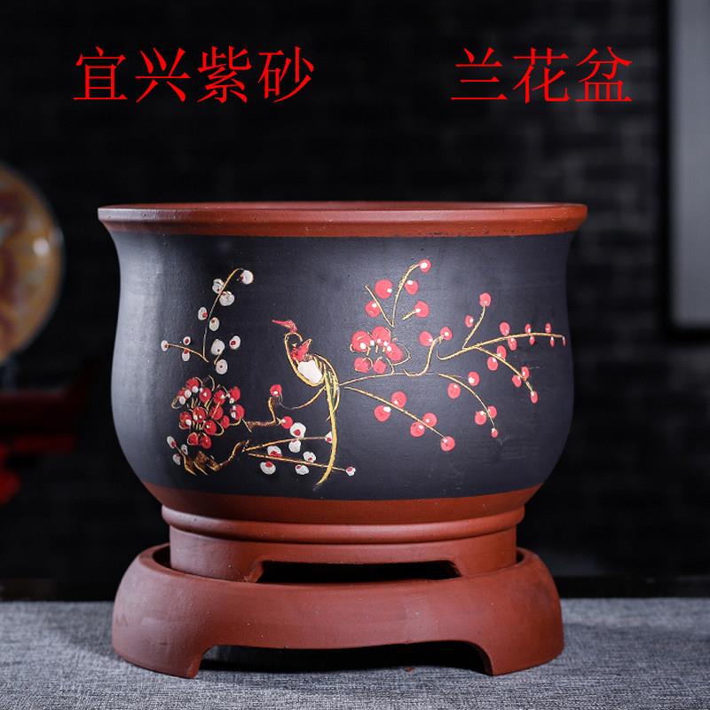 宜兴紫砂君子兰花盆专用大号陶瓷多肉家用特价清仓出汗泥花盆带孔