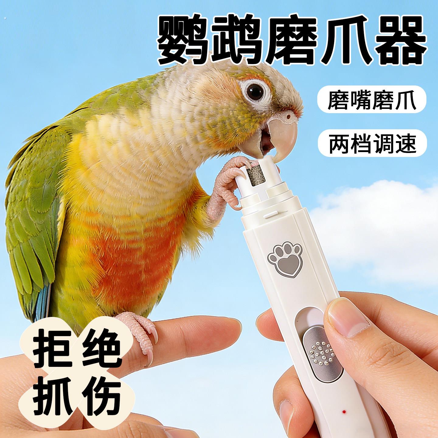鹦鹉磨爪器电动磨嘴器磨啄指甲剪虎皮牡丹小鸟专用清洁刷神器用品