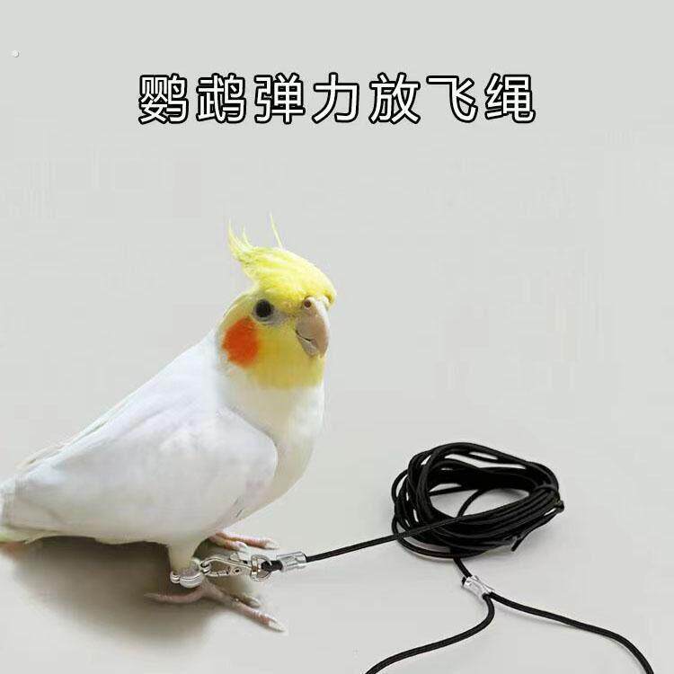 彩色鹦鹉放飞绳超轻玄凤虎皮外出牵引绳脚环遛训练绳子