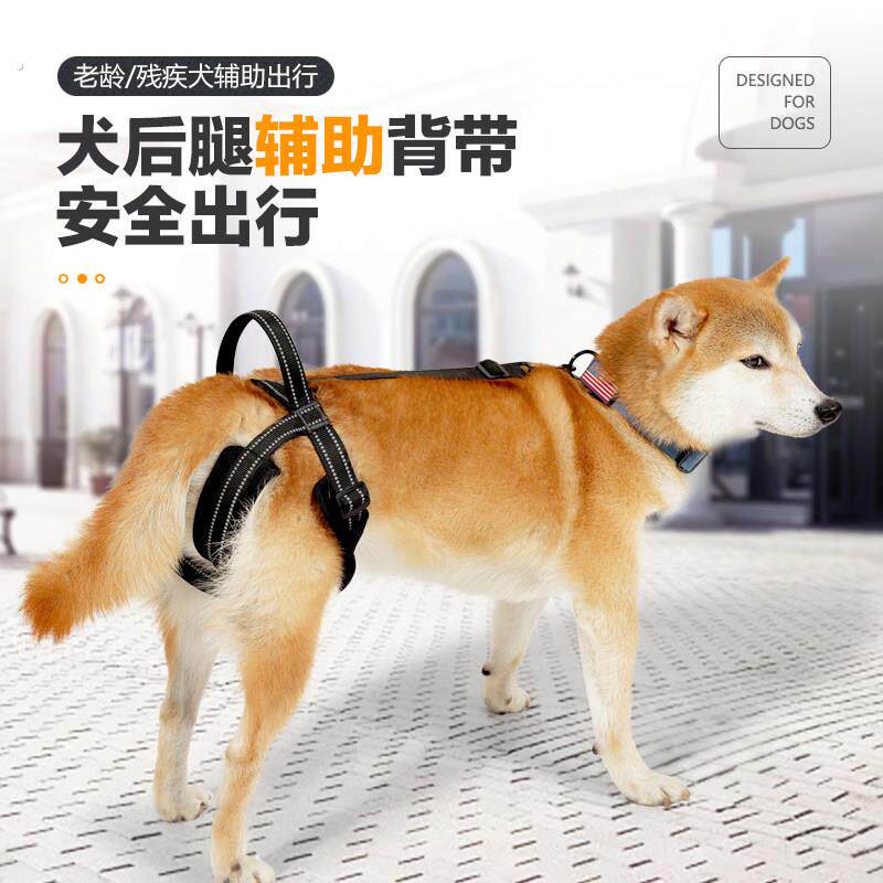宠物用品狗狗身心障碍狗后腿辅助老年犬大龄狗后肢辅助受伤辅助抱