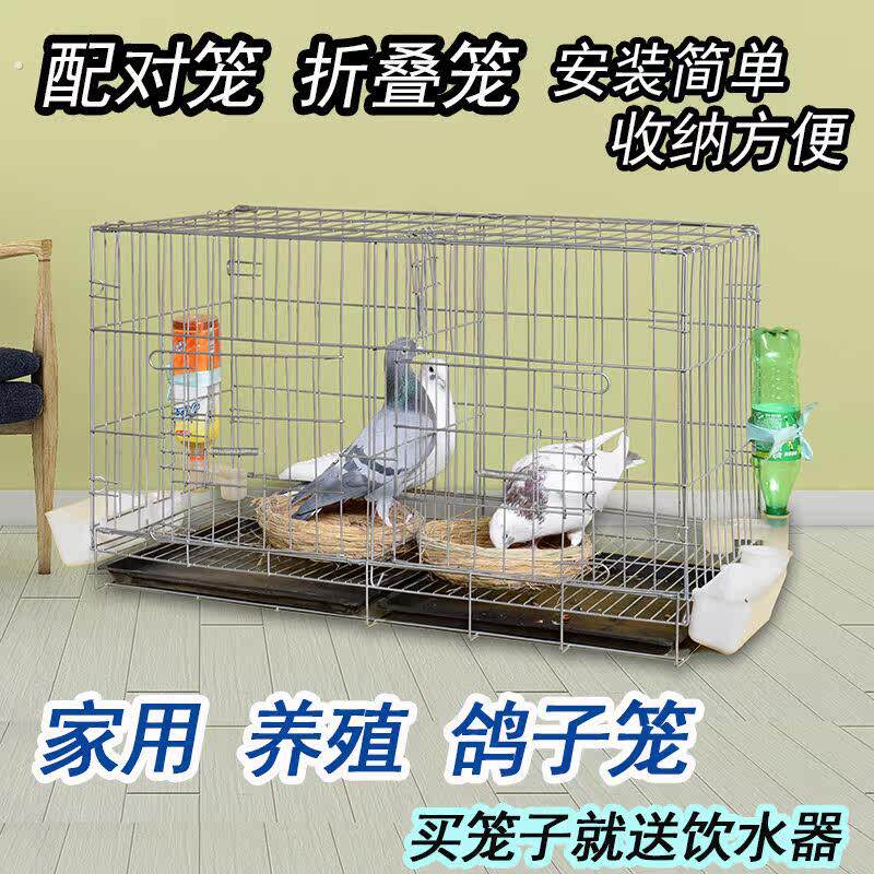 鸽子笼子家用养殖室外繁殖折叠配对大全网窝号笼新款专用 鸽子笼