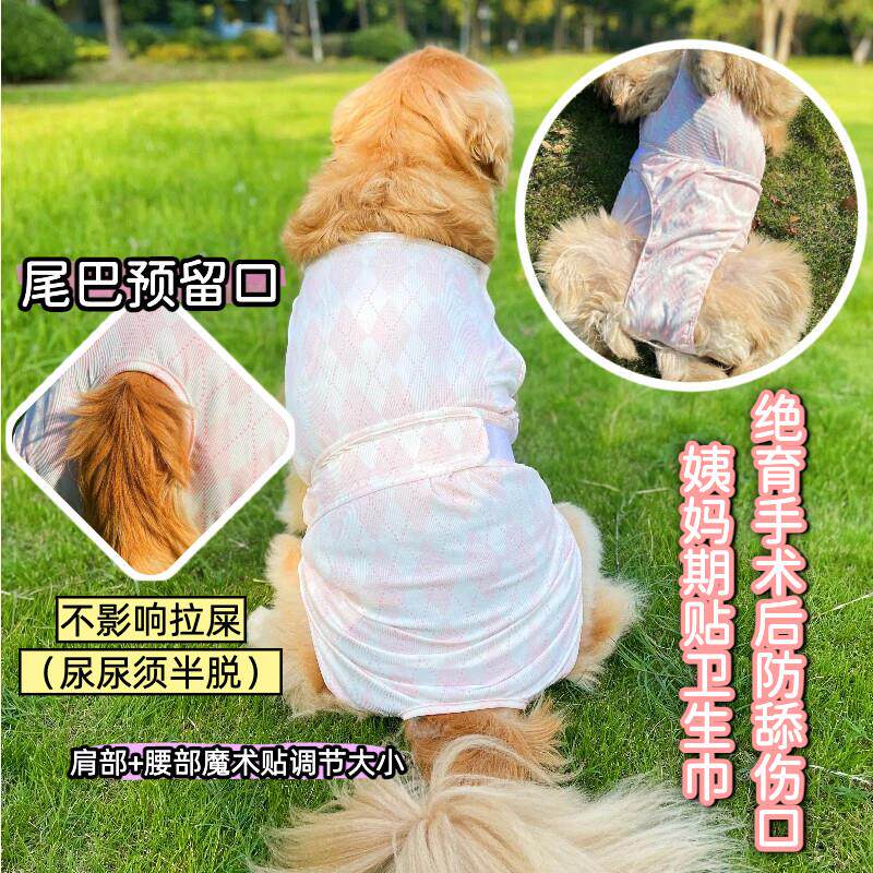 大狗生理裤包肚母狗经期中型犬月经裤大型犬术后服边牧绝育术后服