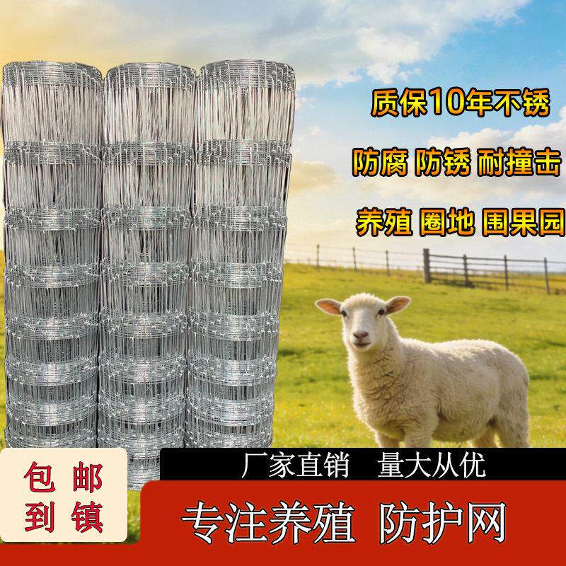 热镀锌牛栏网养殖网围牛羊围鸡护栏网圈地种植隔离网铁丝网围果园