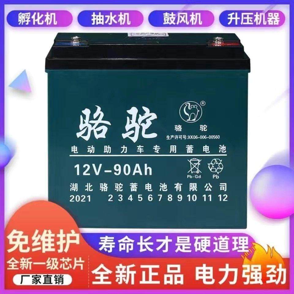 12V干电瓶蓄电池12伏大容量照明摆摊铅酸蓄电池增氧机灯带箱音响