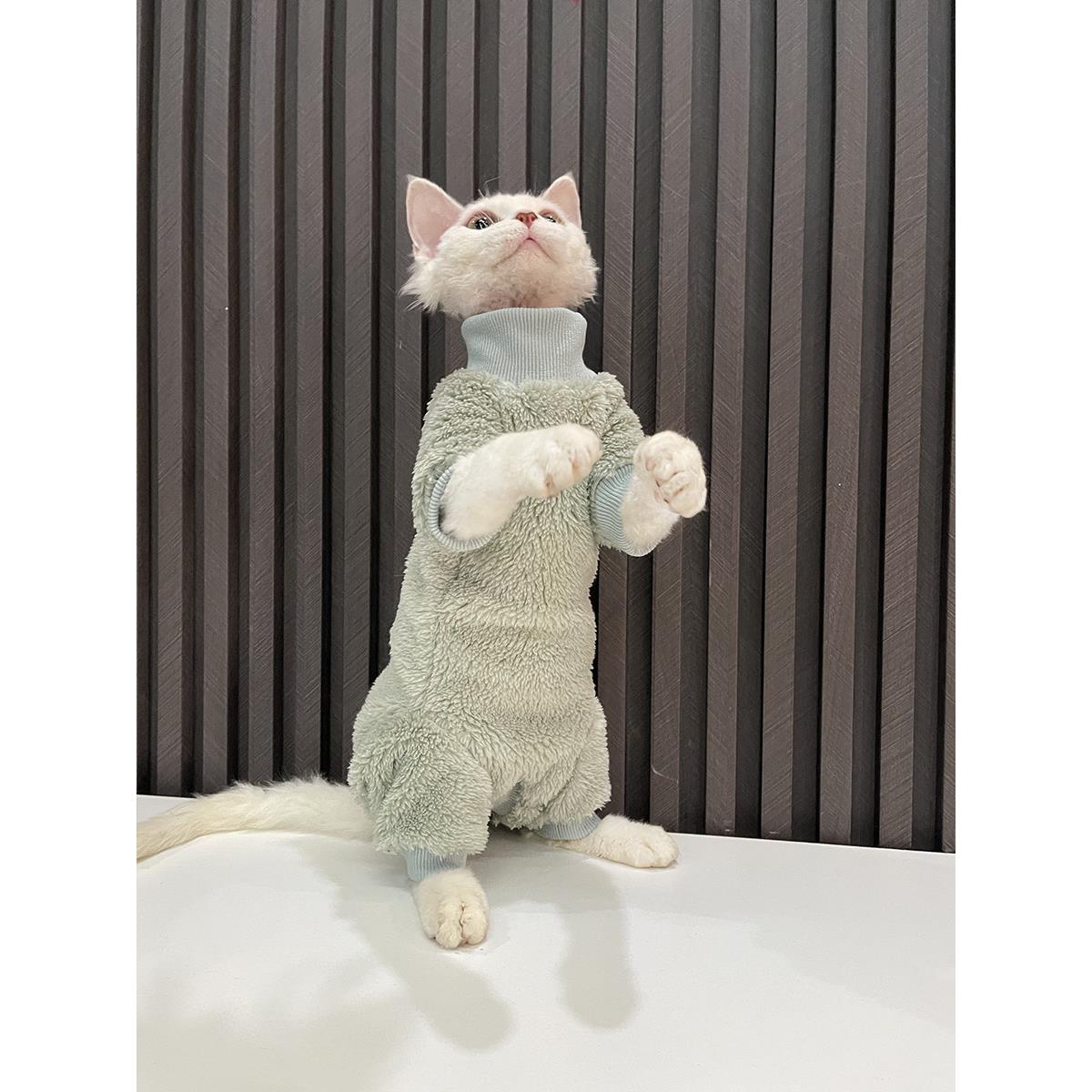 弹性大加厚护肚子四脚衣无毛猫衣服斯芬克斯猫德文衣服双面绒好穿