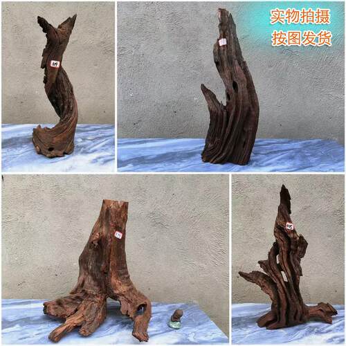 大鱼缸造景专用沉木紫柚木头摆件寄居蟹爬宠躲避树桩水族箱装饰木