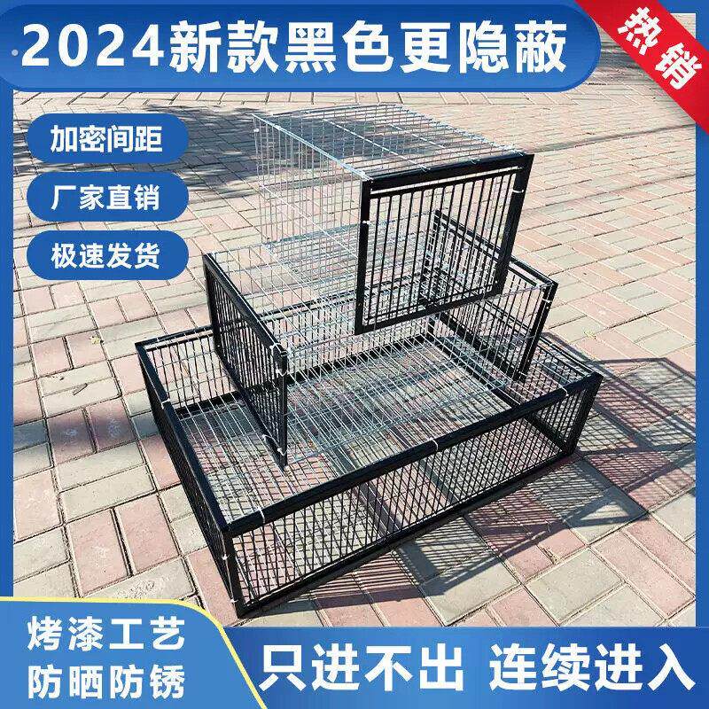 鸽子诱捕器新款加密天落笼鸽子笼收鸽信鸽专用只进不出捕鸽撞门笼
