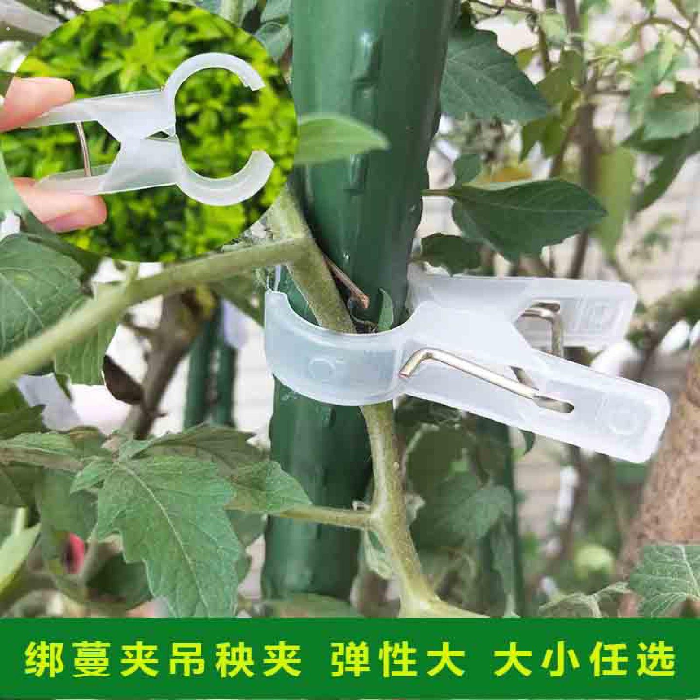 园艺用品绑蔓夹黄瓜西红柿西瓜吊秧夹子绑枝藤固定夹植物爬藤绳子