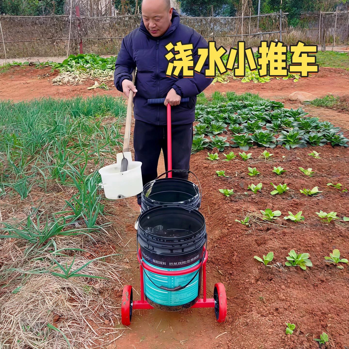 农村菜地浇水神器家用双桶倒水小推车倒垃圾泔水桶装水专用手拉车