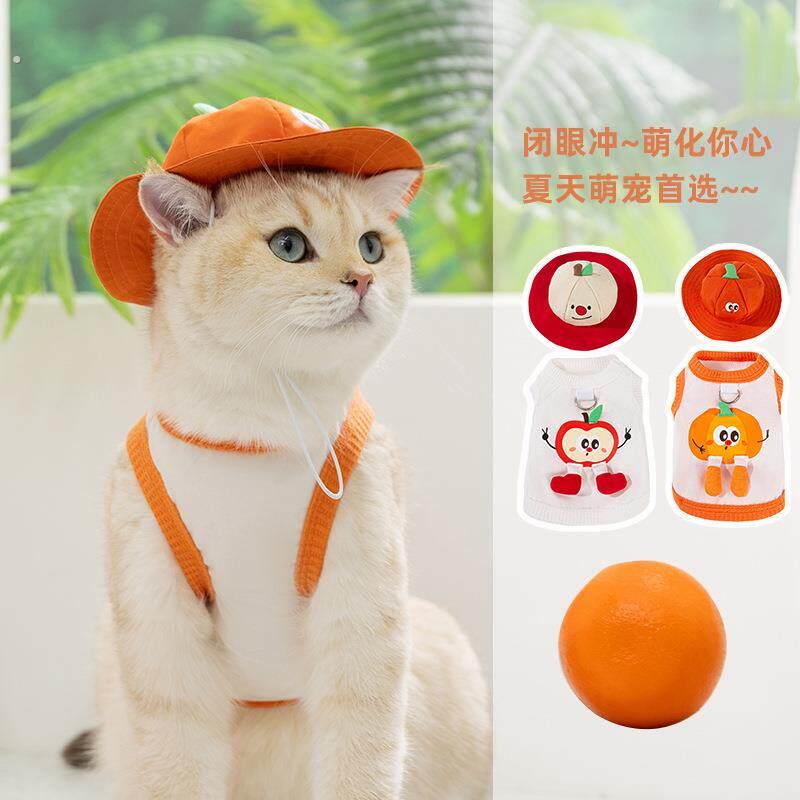 26年新款春夏季猫衣服透气汗布薄款小狗狗成幼猫两脚猫咪宠物背心