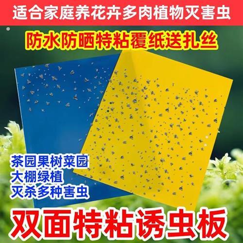 黄板双面粘虫板诱虫板黄色灭小飞虫沾果蝇针蜂粘板蓝板蓟马大棚