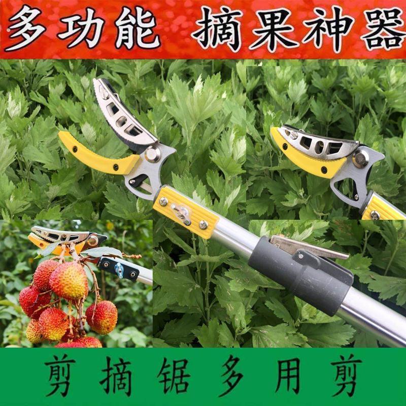 伸缩摘果剪摘果器高枝剪高空采摘剪摘龙眼荔枝修剪果剪高空修枝剪