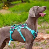 狗狗胸背带 可提拉宠物用品大中型犬防爆冲背心式 新款 宠物胸背