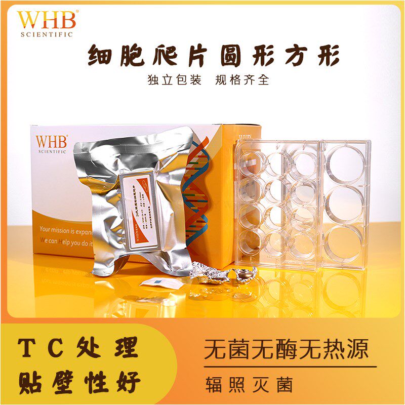 WHB细胞爬片圆形方形TC处理盖玻片无菌多聚赖氨酸细胞爬片6孔12孔