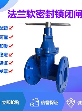 FDZ45X-10/16Q球墨铸铁弹性座软密封锁闭闸阀DN40-200水管防盗阀
