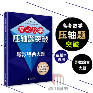高考数学压轴题突破导数综合大题 上海教育出版社高中知识解题大全冲刺名校经典例题全解点拨全真模拟训练专项分类提优测试