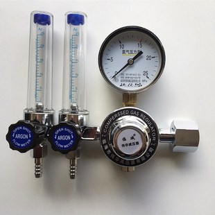 标气氧气 731L型双管流量计双浮标式 氮气YQD 731L氩气减压器YQAr