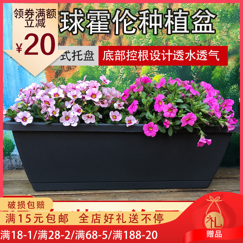 家庭阳台蔬菜长方形塑料长条花盆槽盆栽种植盆阳台种菜盆种菜神器,鲜花速递/花卉仿真/绿植园艺,花盆,淘宝优惠券,粉丝福利购,淘宝优惠卷