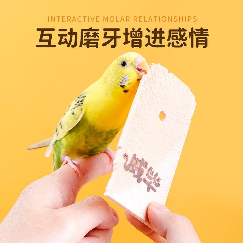 鹦鹉磨牙零食虎皮玄风鸟笼用品墨鱼骨鸟粮互动专用啃咬玩具饼干,宠物/宠物食品及用品,鸟玩具,淘宝优惠券,粉丝福利购,淘宝优惠卷